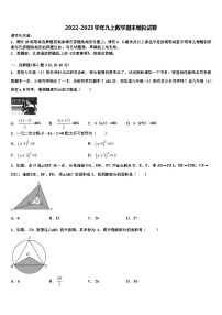 重庆市九龙坡区杨家坪中学2022-2023学年九年级数学第一学期期末监测模拟试题含解析