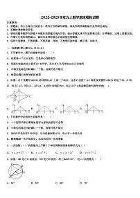 重庆市九龙坡区杨家坪中学2022-2023学年数学九上期末检测试题含解析