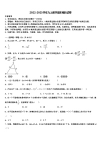 浙江省绍兴市上虞区城南中学2022-2023学年九年级数学第一学期期末检测模拟试题含解析