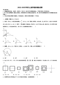 浙江省绍兴市越城区袍江中学2022年九年级数学第一学期期末检测模拟试题含解析