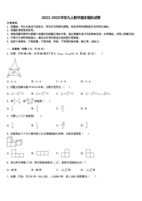 浙江省绍兴市越城区袍江中学2022年数学九年级第一学期期末学业质量监测试题含解析