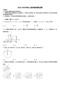 郑州市外国语中学2022-2023学年数学九上期末监测试题含解析