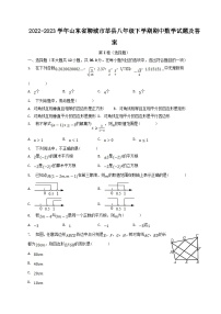 2022-2023学年山东省聊城市莘县八年级下学期期中数学试题及答案