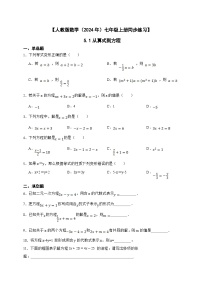 初中数学人教版（2024）七年级上册5.1 方程精品测试题