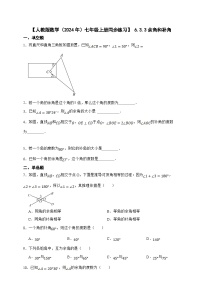 人教版（2024）七年级上册第六章 几何图形初步6.3 角优秀习题