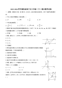 2023-2024学年青海省西宁市八年级（下）期末数学试卷（含答案）