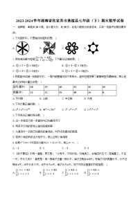 2023-2024学年湖南省张家界市桑植县七年级（下）期末数学试卷（含答案）