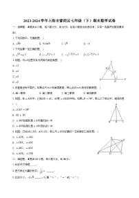 2023-2024学年上海市普陀区七年级（下）期末数学试卷（含答案）
