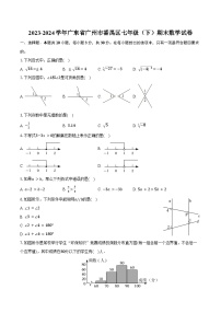 2023-2024学年广东省广州市番禺区七年级（下）期末数学试卷（含答案）