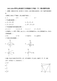 2023-2024学年山东省济宁市邹城市八年级（下）期末数学试卷（含答案）
