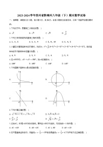 2023-2024学年贵州省黔南州八年级（下）期末数学试卷（含答案）