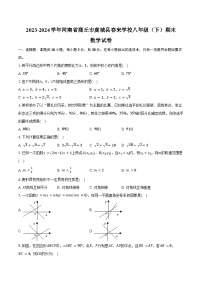 2023-2024学年河南省商丘市虞城县春来学校八年级（下）期末数学试卷（含答案）