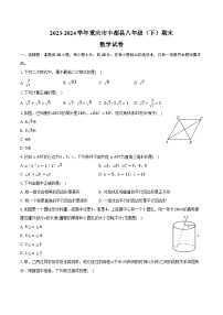 2023-2024学年重庆市丰都县八年级（下）期末数学试卷（含答案）