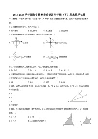 2023-2024学年湖南省株洲市荷塘区八年级（下）期末数学试卷（含答案）
