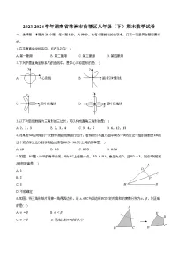 2023-2024学年湖南省株洲市荷塘区八年级（下）期末数学试卷（含答案）