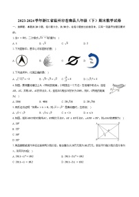 2023-2024学年浙江省温州市苍南县八年级（下）期末数学试卷（含答案）