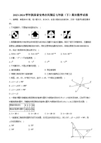 2023-2024学年陕西省宝鸡市凤翔区七年级（下）期末数学试卷（含答案）