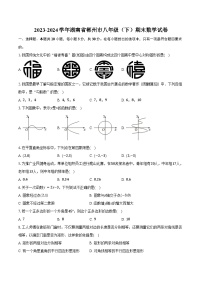 2023-2024学年湖南省郴州市八年级（下）期末数学试卷（含答案）