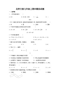 2023-2024学年北师大版+七年级上册数学期末复习题