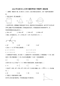 2024年北京市人大附中朝阳学校中考数学三模试卷（含答案）