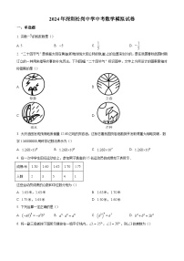 2024年广东省深圳市松岗中学中考模拟数学试题