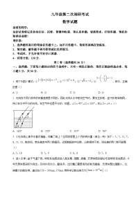 2024年山东省枣庄市薛城区中考二模数学试题