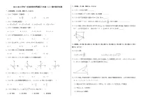 2022-2023学年广东省深圳市罗湖区八年级（上）期中数学试卷