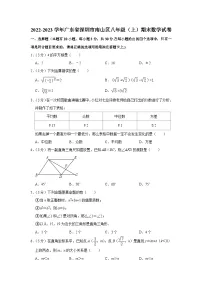 2022-2023学年广东省深圳市南山区八年级（上）期末数学试卷