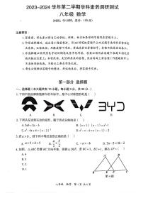 广东省深圳市坪山区2023-2024学年八年级下学期期末考试数学试题