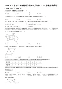 2023-2024学年山东省德州市庆云县八年级（下）期末数学试卷 含详解