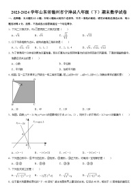 2023-2024学年山东省德州市宁津县八年级（下）期末数学试卷  含详解