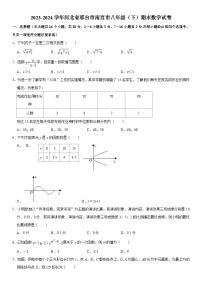 2023-2024学年河北省邢台市南宫市八年级（下）期末数学试卷  含详解