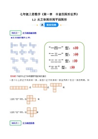 北师大版（2024）第一章 丰富的图形世界2 从立体图形到平面图形精品练习