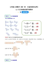 北师大版（2024）第一章 丰富的图形世界2 从立体图形到平面图形精品练习