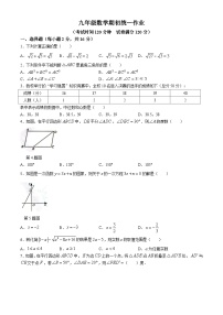 辽宁省葫芦岛市连山区第六初级中学2023-2024学年九年级上学期数学开学考试试题