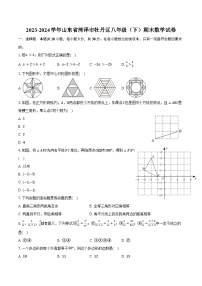 2023-2024学年山东省菏泽市牡丹区八年级（下）期末数学试卷（含答案）