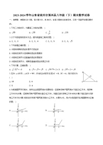 2023-2024学年山东省滨州市博兴县八年级（下）期末数学试卷（含答案）