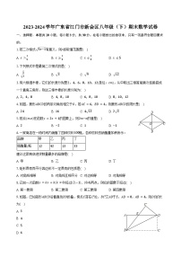 2023-2024学年广东省江门市新会区八年级（下）期末数学试卷（含答案）