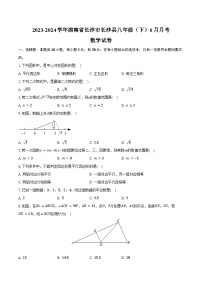 2023-2024学年湖南省长沙市长沙县八年级（下）月考数学试卷（6月份）（含答案）
