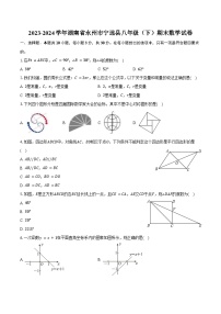 2023-2024学年湖南省永州市宁远县八年级（下）期末数学试卷（含答案）