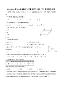 2023-2024学年山东省德州市天衢新区八年级（下）期末数学试卷（含答案）