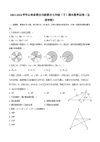 2023-2024学年山东省泰安市新泰市七年级（下）期末数学试卷（五四学制）（含答案）