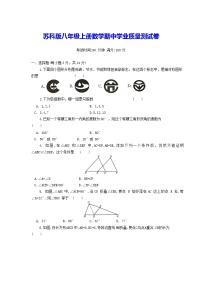 苏科版八年级上册数学期中学业质量测试卷（含答案）