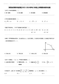 [数学][期末]陕西省渭南市临渭区2023-2024学年八年级上学期期末数学试题