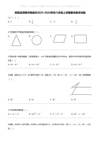 [数学][期末]陕西省渭南市韩城市2023-2024学年八年级上学期期末数学试题