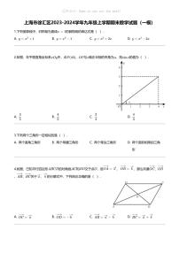 [数学][期末]上海市徐汇区2023-2024学年九年级上学期期末数学试题(一模)