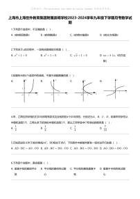 [数学]上海市上海世外教育集团附属崇明学校2023-2024学年九年级下学期月考数学试题