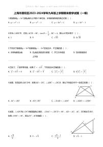 [数学][期末]上海市普陀区2023-2024学年九年级上学期期末数学试题(一模)