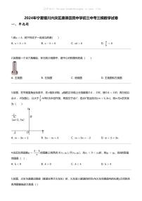 [数学][三模]2024年宁夏银川兴庆区唐徕回民中学初三中考三模数学试卷