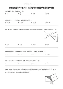[数学][期末]陕西省咸阳市兴平市2023-2024学年八年级上学期期末数学试题